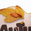 Decorazione autunnale - immagine 3