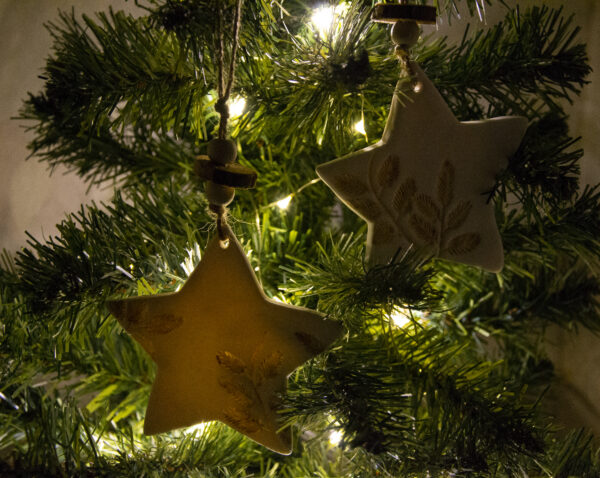 Stelle di Natale - immagine 3