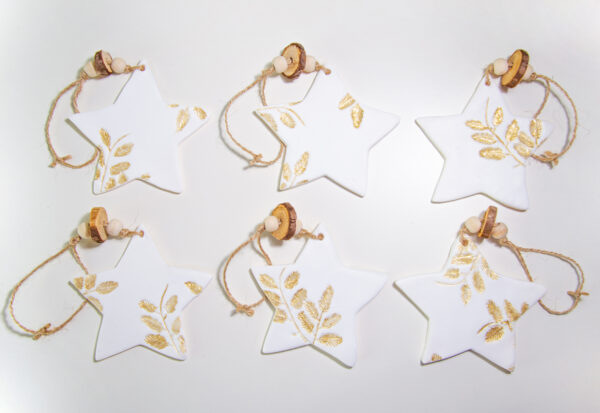 Stelle di Natale